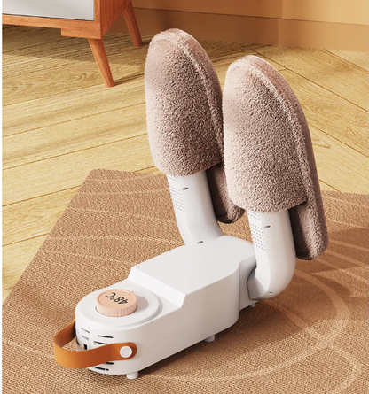 Electric Shoe Dryer
